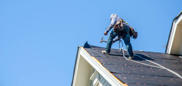 Best Roof Gutter Cleaning  in Stansbury Park, UT